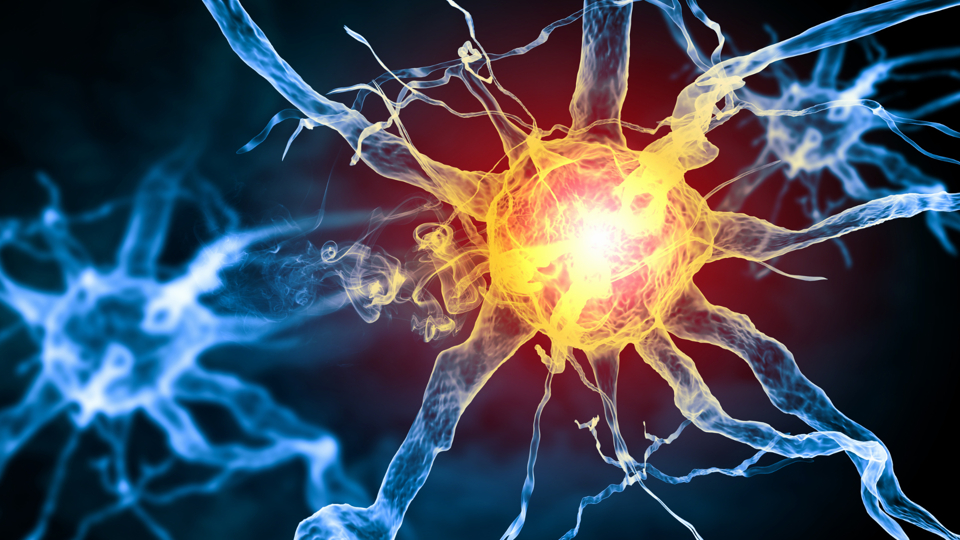 神経・脳のイメージ