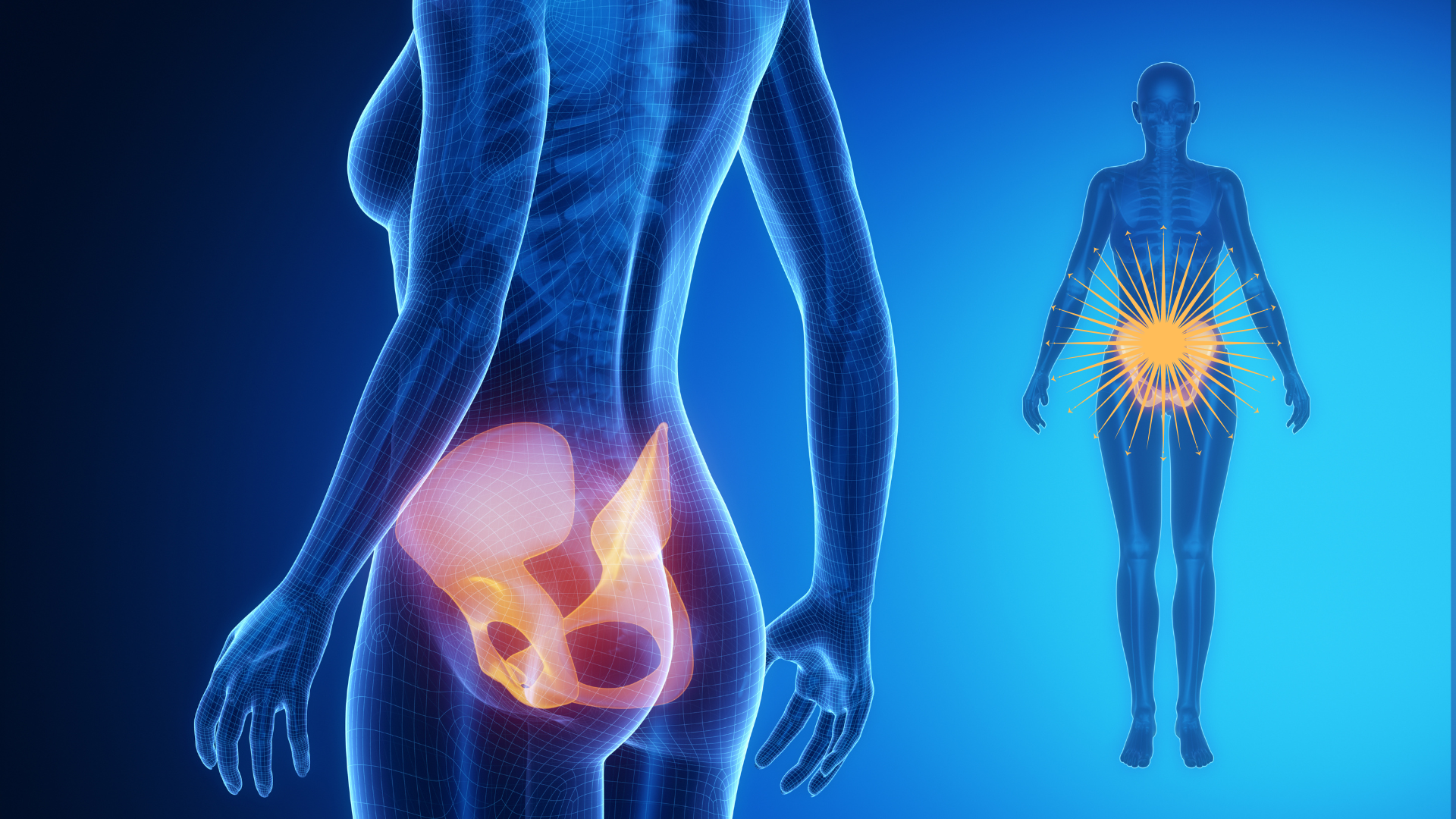 不調から運動器疾患の予防へ