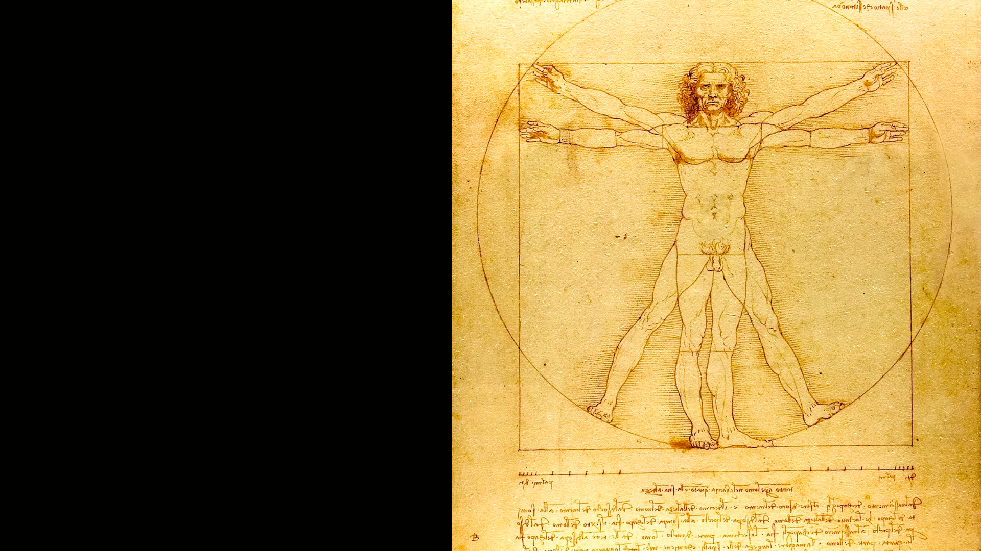 PEAKFORM 基礎コース キービジュアル